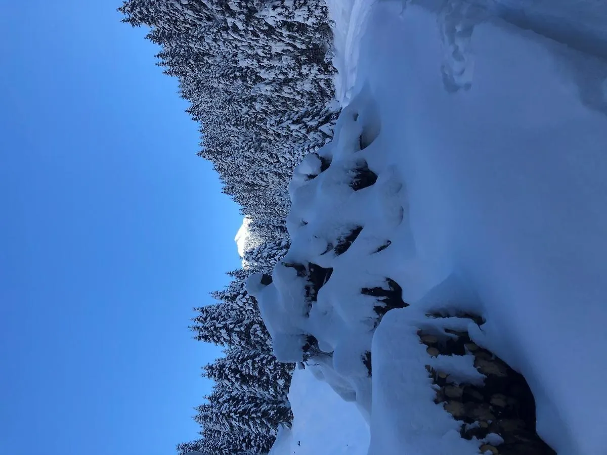Lejlighed Alpapart - Innsbruck Ellbögen Østrig